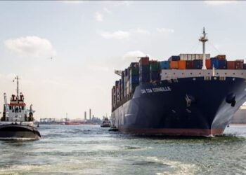 ميناء دمياط يستقبل 1037 طن ذرة و 2270 طن كسب عباد خلال 24 ساعة