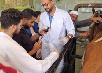 "بيطري الإسكندرية" تطلق 9 قوافل طبية بيطرية لحماية الثروة الحيوانية بقرى أبيس