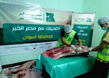 ضمن حملة "صك الأضحية".. توزيع لحوم على 16 ألف مستحق في أسوان