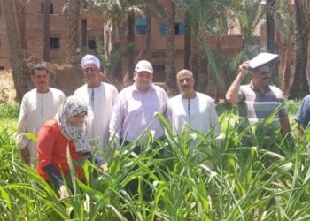 معهد وقاية النباتات يواصل توعية المزارعين بكيفية السيطرة على دودة الحشد الخريفية