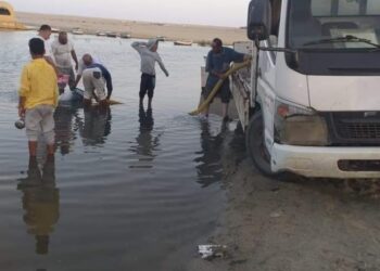 إلقاء 625 ألف وحدة زريعة من أسماك البلطي والمبروك الفضي بمسطحات الريان