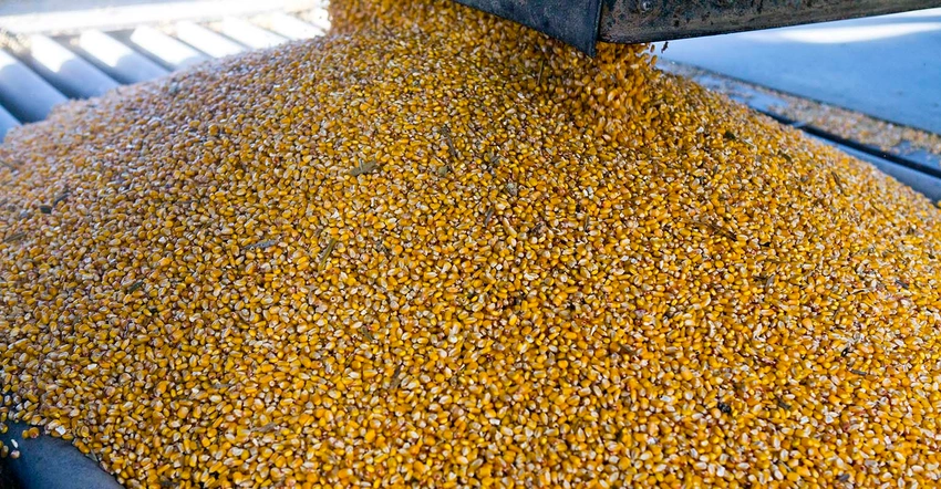 تراجع صادرات الولايات المتحدة من الذرة وفول الصويا مع اقتراب نهاية موسم 2022/23