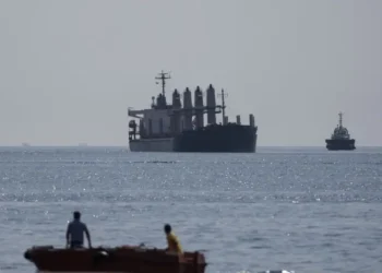 التموين: عدم تمديد صفقة الحبوب لن يؤثر على مصر