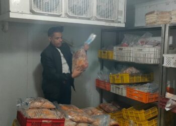 ضبط 10 أطنان و129 كيلو من اللحوم والأسماك والدواجن غير صالحة بكفر الشيخ