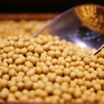 واردات الولايات المتحدة من فول الصويا البرازيلي تسجل 424500 طن في يوليو