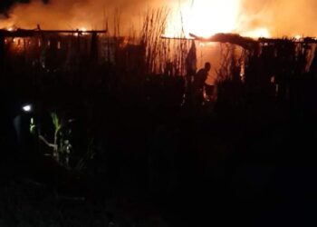 نفوق 5 رؤوس ماشية إثر حريق فى عدد من حظائر المواشي بإحدى قرى المنوفية