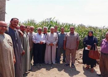 "زراعة الشرقية" تنظم يوم حقلي إرشادي لزيادة إنتاجية محصول الذرة الشامية