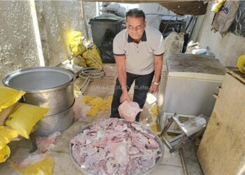 مصادرة 4.65 طن مقطعات دواجن ومصنعات لحوم غير صالحة للاستهلاك بالجيزة