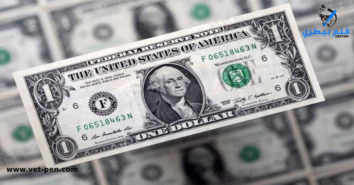 تعرف على سعر الدولار وأسعار صرف العملات العربية والأجنبية اليوم السبت 5-8-2023