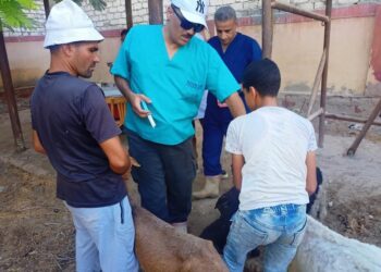«الزراعة» تطلق قافلة بيطرية مجانية لعلاج مواشي صغار المربين في القليوبية