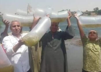 إلقاء ٧٠٠ ألف وحدة زريعة من أسماك البلطي بفرع النيل في أسيوط