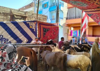 «صحة الحيوان» تطلق قوافل بيطرية مجانية لخدمة صغار المربين بالدقهلية