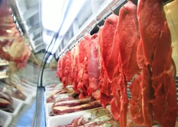 صادرات لحوم الأبقار البرازيلية تسجل 83.3 ألف طن في الأسبوع الثاني من أغسطس