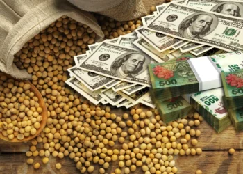 خاص| المجد: ارتفاع قياسي بأسعار الخامات خلال أيام.. والصويا تتخطي 33000 ألف للطن