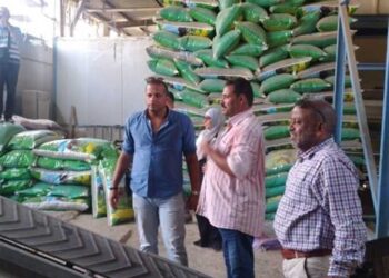 ضبط 10 أطنان أعلاف مجهول المصدر في الإسكندرية