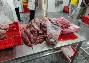بيطري الجيزة: ضبط 18614 كيلو لحوم فاسدة ومذبوحة خارج المجازر
