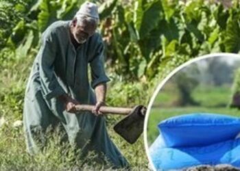 مشكل ىالتعاونيات ىالزراعية في ندوة بمعهد الاقتصاد الزراعي