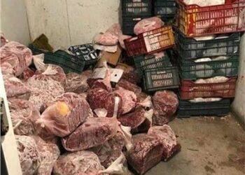 ضبط لحوم منتهية الصلاحية خلال حملة للطب البيطري في بني سويف