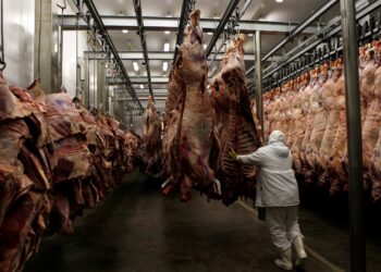 الصين تفتح أسواقها أمام صادرات لحوم البقر الكولومبية