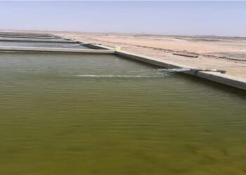 تنمية البحيرات: بدء التشغيل التجريبي لمفرخ توشكى بطاقته إنتاجية 35 مليون وحدة زريعة
