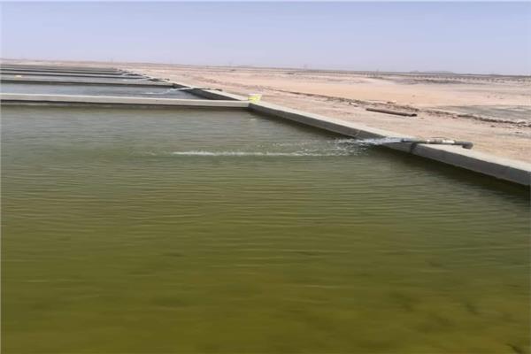 تنمية البحيرات: بدء التشغيل التجريبي لمفرخ توشكى بطاقته إنتاجية 35 مليون وحدة زريعة