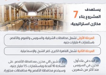 مجلس الوزراء: مكاسب إقتصادية للمشروع القومي لإنشاء مخازن استراتيجية للمنتجات الغذائية