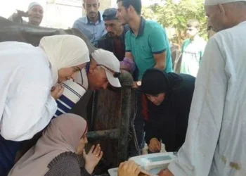 بيطري المنوفية توعى المربين بضرورة التأمين على المواشي ضد حالات النفوق