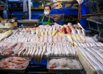 واردات الصين من المأكولات البحرية اليابانية تتراجع بنسبة 68 % في أغسطس