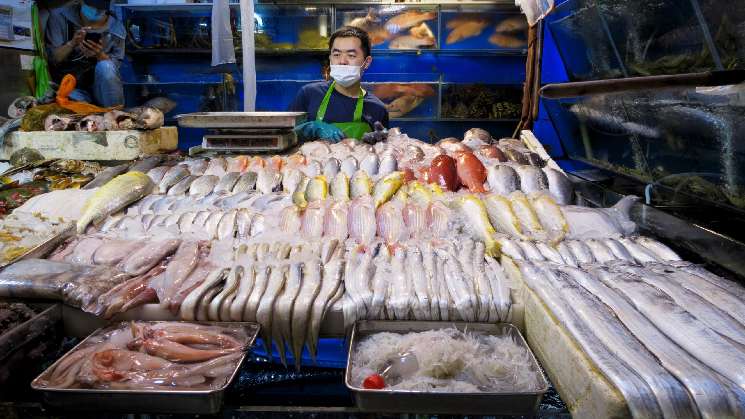 واردات الصين من المأكولات البحرية اليابانية تتراجع بنسبة 68 % في أغسطس
