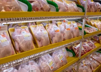 الولايات المتحدة تحظر استيراد الدواجن الفرنسية