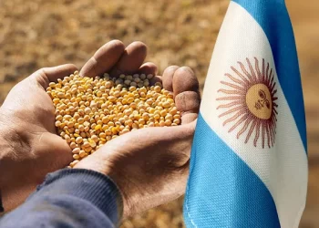 انخفاض مبيعات فول الصويا في الأرجنتين بنسبة 85% خلال أكتوبر