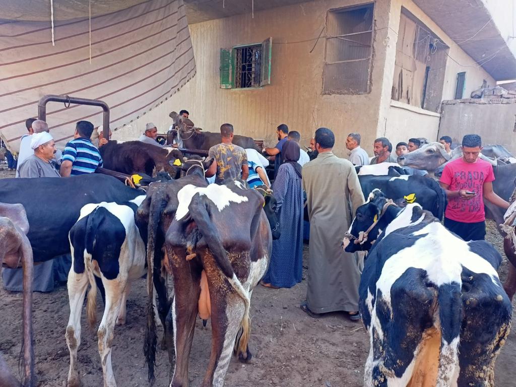 جامعة بنها تطلق قافلة بيطرية إلى قرية سنديون بقليوب