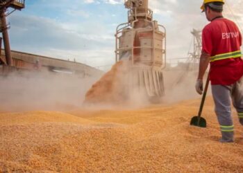 الذرة والصويا أبرزهم.. صادرات البرازيل الزراعية تسجل 13.71 مليار دولار في سبتمبر