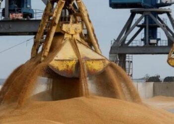 صادرات أوكرانيا من الحبوب تبلغ 1.6 مليون طن خلال الأسبوع الماضي