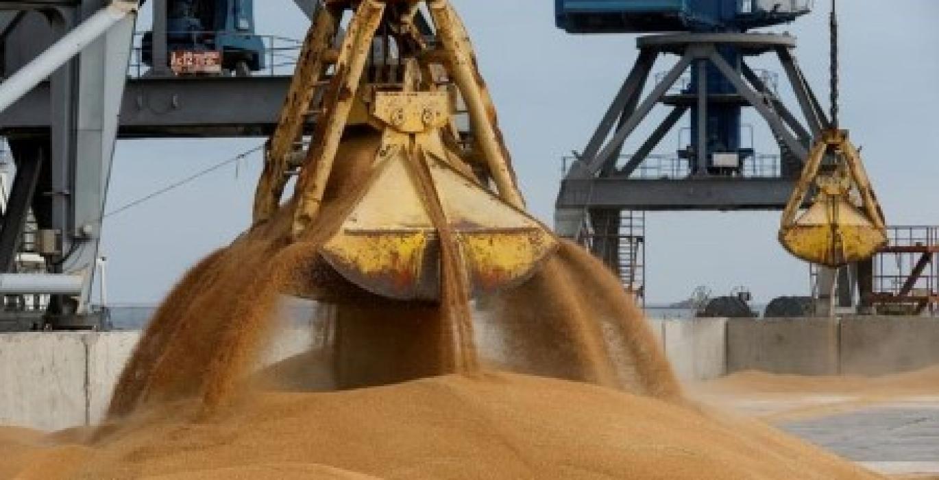 صادرات أوكرانيا من الحبوب تبلغ 1.6 مليون طن خلال الأسبوع الماضي