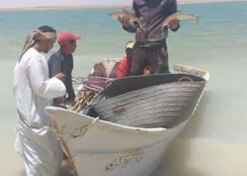 افتتاح موسم الصيد فى مفيض باريس بالوادى الجديد