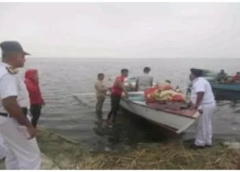 ضبط 13 طن أعلاف حيوانية مجهولة المصدر بالفيوم