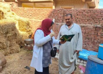 بيطري الدقهلية يطلق حملات للتوعية بتحصين الماشية ضد طاعون المجترات الصغيرة