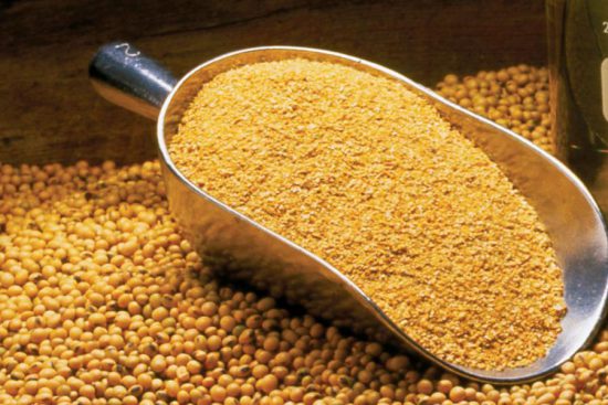 مصدر بأحد مصانع الصويا عن ارتفاع الأسعار: حالة ركود وشحية في المعروض و"الدولار"