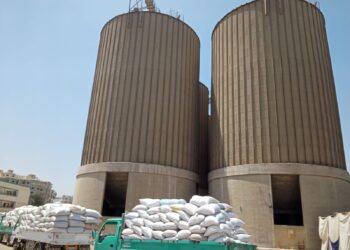 أرباح مطاحن مصر الوسطى ترتفع 5% خلال الربع الأول من 2023/2024