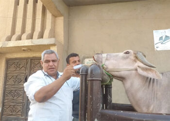 بيطري الغربية: فحص 4345 طائرا وحيوانا خلال قوافل بيطرية