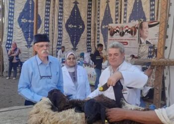 بيطري الغربية تنظم قافلة علاجية مجانية بقرية الهياتم في المحلة الكبرى