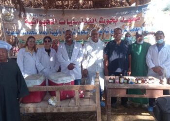 علاج وفحص أكثر من 1900 رأس ماشية لصغار المربين خلال قافلة بيطرية مجانية بالأقصر