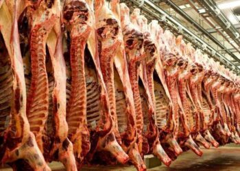 إنتاج اللحوم الحمراء في ايران يسجل 38 ألف طن في أكتوبر