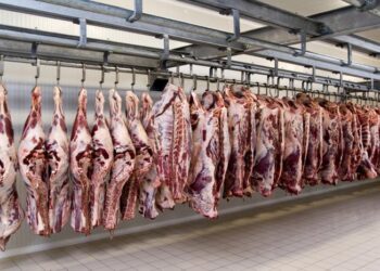 اللحوم الأسترالية تسجل أعلى مستوى لها منذ 4 سنوات وسط زيادة الطلب الدولي
