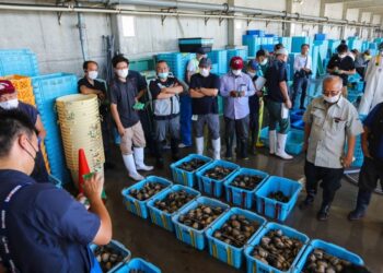 صادرات اليابان من المنتجات البحرية إلى الصين تنخفض بنسبة 90.8% في 2023