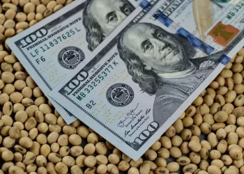 شركة خامات: الدولار وبذرة الصويا يجبر السوق علي الارتفاع خلال الأيام المقبلة