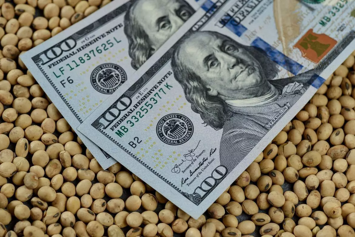 شركة خامات: الدولار وبذرة الصويا يجبر السوق علي الارتفاع خلال الأيام المقبلة