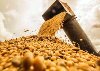 أسوشيتد برس: مصدرو الحبوب أكثر ثقة بشأن طرق البحر الأسود
