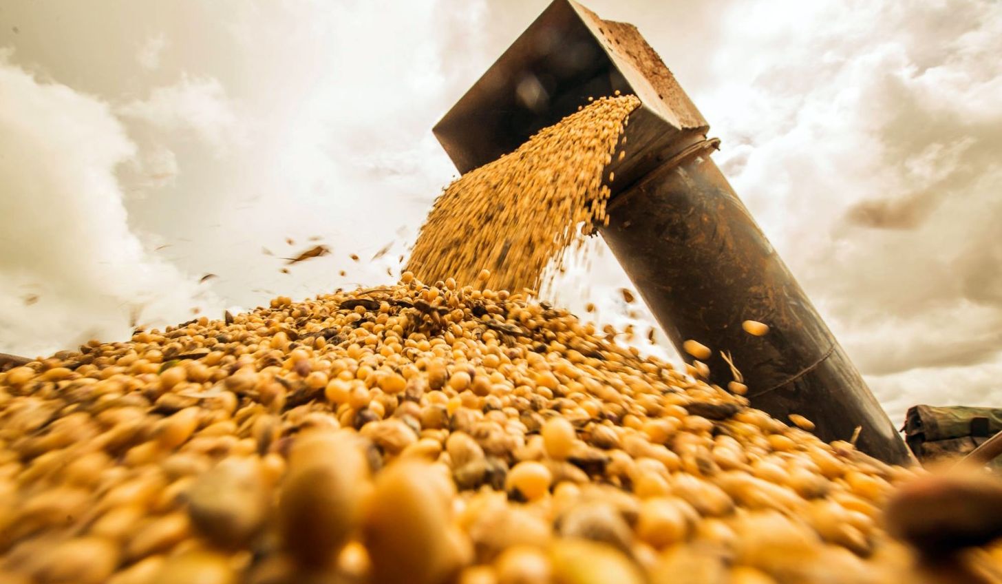أسوشيتد برس: مصدرو الحبوب أكثر ثقة بشأن طرق البحر الأسود